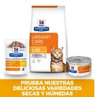 Hill's Prescription Diet Urinary Care c/d Pollo sobre para gatos, , large image number null